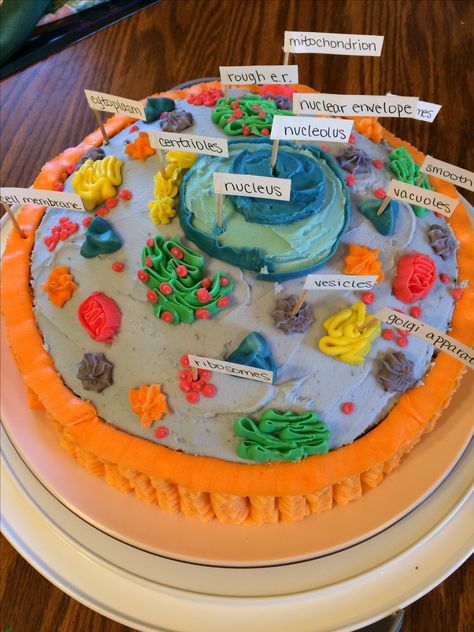 animal cell project made of cake                                                                                                                                                                                 More Cell Cakes Project, Cake Cell Model, Cake Cell Project Ideas, Animal Cell Cake Project Ideas, Animal Cell Food Project, Plant Cell Project Cake, Animal Cell Cake Project Labeled, Cell Food Project, Animal Cell Edible Project