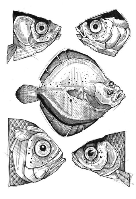 Lea Nahon, Fish Sketch, Art Fish, Fish Fish, Fish Illustration, Fish Drawings, Ink Drawings, Art Et Illustration, Ink Sketch