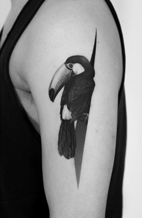 Toucan Tattoo Black And White, Nani Tattoo, Tucan Tattoo, Toucan Tattoo, Manly Tattoos, Jungle Tattoo, Cupid Tattoo, Tattoo Bird, Mexican Art Tattoos