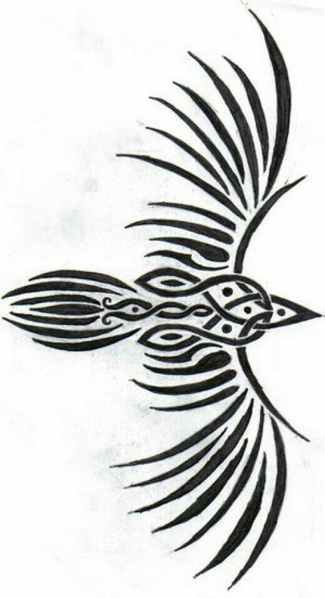 Borneo Tattoos, Tattoos Polynesian, Tattoos Celtic, Tattoos Lion, Celtic Knot Drawing, Pagan Tattoo, Celtic Raven, Tattoos Rose, Polynesian Tattoos