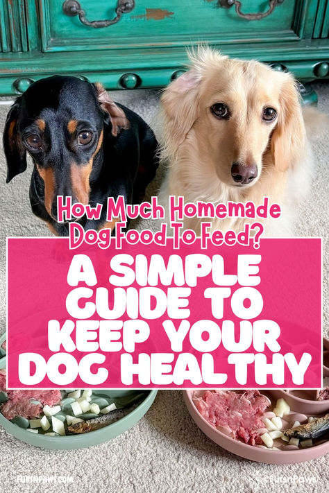 Are you ready to simplify feeding and boost your dog’s health? Our comprehensive guide explains how much homemade food to feed my dog using an easy homemade dog food calculator along with clear homemade dog food feeding amounts. Discover the best homemade dog food serving size, avoid common mistakes with homemade dog food portion sizes, and learn how much homemade dog food to feed your dog so you know exactly how much to feed your dog. Master how much homemade dog food to feed and nail the serving size for homemade dog food effortlessly. Click now and make mealtime healthy! Crockpot Dog Food Recipes Vet Approved, Dog Food Recipes Chicken, Homemade Dog Food Crockpot, Dog Diseases, Crockpot Dog Food, Homemade Dog Food Vet Approved, Easy Homemade Dog Food, Homemade Dog Food Recipes Vet Approved, Dog Food Recipes Vet Approved