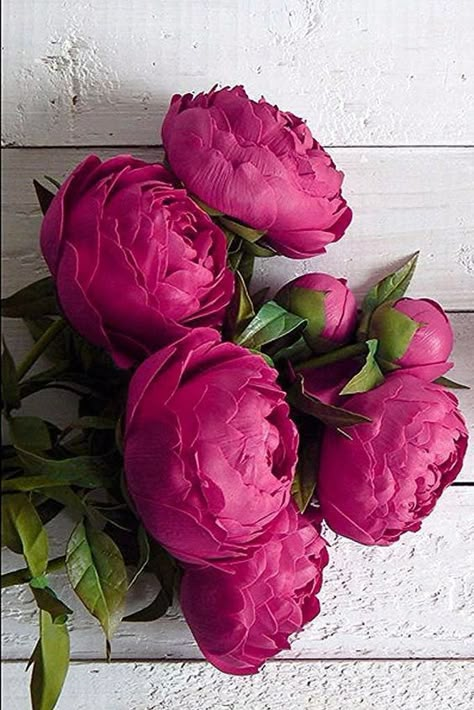 Magenta Flowers, Peonies Bouquet, Beautiful Bouquet Of Flowers, Flower Background Wallpaper, Beautiful Flower Arrangements, Luxury Flowers, Deco Floral, Beautiful Flowers Pictures, Star Flower