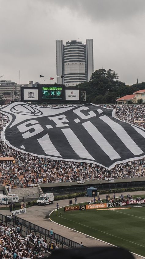 #santosfc #sfc #pacaembu #wallpapersantosfc #wallpaper Wallpaper Santos, Nissan Gt-r, Big Fish, Neymar Jr, Live Wallpapers, Baseball Field, Cristiano Ronaldo, Cool Wallpaper, Neymar