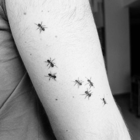 Ants Tattoo, Ant Tattoo, Tattoos Pictures, Bug Tattoo, Insect Tattoo, Small Tattoos With Meaning, Small Tattoos Simple, Nature Tattoos, Simple White