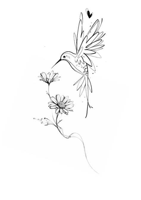 Hummingbird Daisy Tattoo, Hummingbird Fineline Tattoo, Hummingbird Line Art, Hummingbird Back Tattoo, Hummingbird Memorial Tattoo, Floral Hummingbird Tattoo, Black And White Hummingbird Tattoo, Hummingbird Line Drawing, Hummingbird And Flower Tattoo