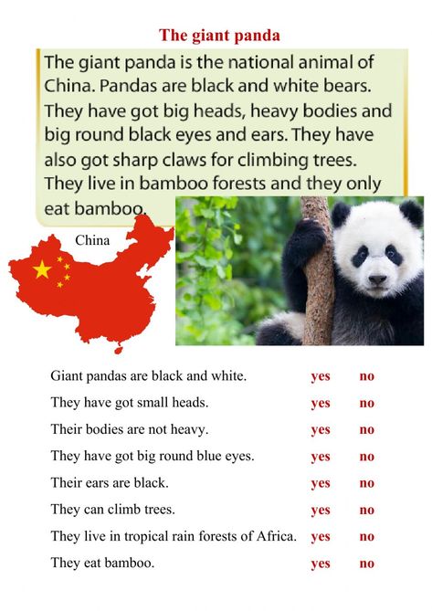 Can Worksheet, Panda For Kids, English Reading Skills, Reading Fluency Passages, English Conversation Learning, Teach English To Kids, Fluency Passages, Short Text, English Teaching Materials