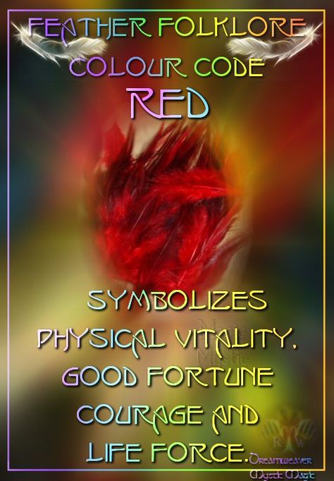 Red Feathers - Symbolizes Physical vitality, good fortune, courage and life force.(connected to the root chakra).  balancedwomensblog.com Color Magick, Red Canary, Feather Magic, Feather Meaning, Talking Sticks, Animal Reiki, Animal Spirit Guides, Animals Love, Code Red