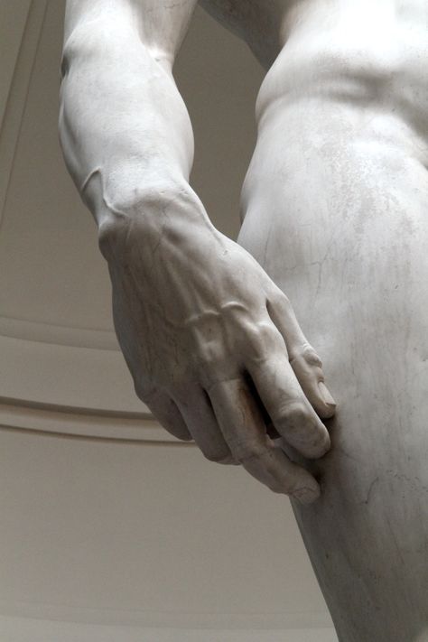 michelangelo david Michelangelo Sculpture, Michelangelo David, Lorenzo Quinn, Turn To Stone, Hand Sculpture, Marble Statues, Marble Sculpture, Hand Shapes, Sculptures & Statues