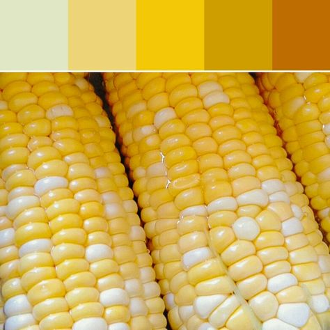 Yellow Palette, Color Collage, Fresh Corn, Family Crafts, Craft Studio, Green Apple, Paint Colors For Home, Color Pallets, Style Board