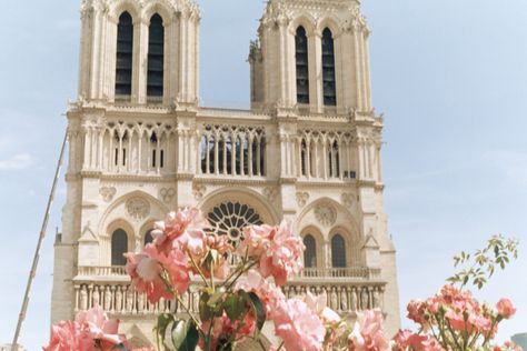 Azzari Jarrett | Notre Dame | 35mm film | Paris, France Paris Polaroid Aesthetic, Europe On Film, France On Film, France Film Photography, Paris Film Photography, Summertime In Paris, Paris On Film, Paris Film, Paris Film Camera