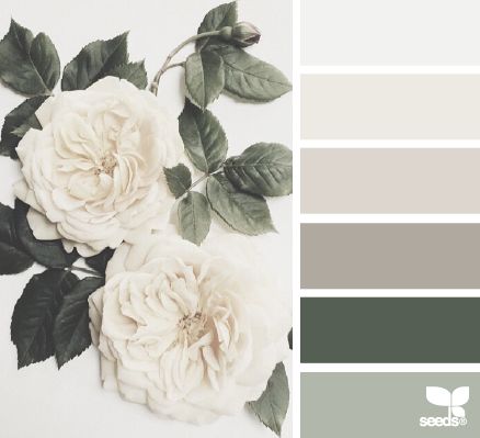 Flora tones Farmhouse Kitchen Colors, Color Schemes Design, Kitchen Colour Schemes, Color Schemes Colour Palettes, Grey Color Scheme, Kitchen Vintage, Design Seeds, Ideas Vintage, Color Palette Design