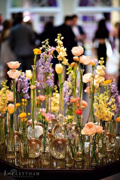 Home - Florals By The Sea Stem Arrangements, Bud Vase Centerpiece, Wedding Flowers Wildflowers, Bloom Blossom, Wedding Table Flowers, Wedding Flower Inspiration, Beautiful Flower Arrangements, Wildflower Wedding, Wedding Arrangements