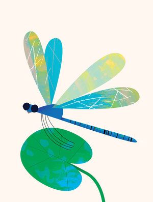 Art Deco Art Illustrations, Natasha Durley, Dragonfly Illustration, Nursery Illustration, Colorful Art Prints, Dragonfly Prints, Butterfly Illustration, Dragonfly Art, Dragonflies Design