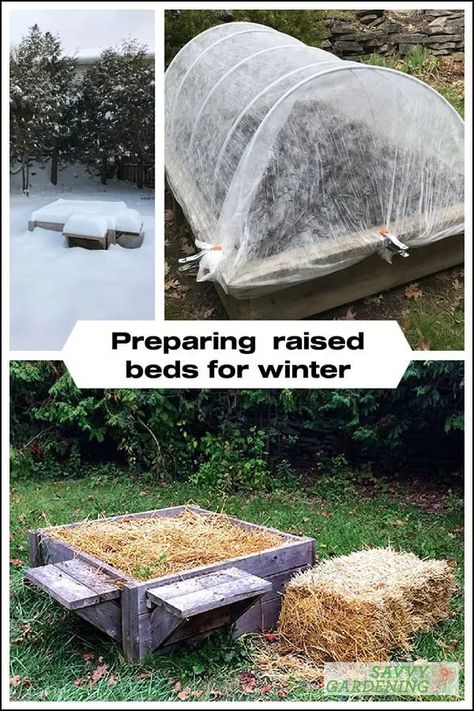 Cold Frame Raised Bed, Preparing Garden Beds, Raised Herb Garden, Cold Frame Diy, Growing Vegetables In Pots, Vegetable Garden Beds, Spring Crops, Perennial Vegetables, Farm Lifestyle