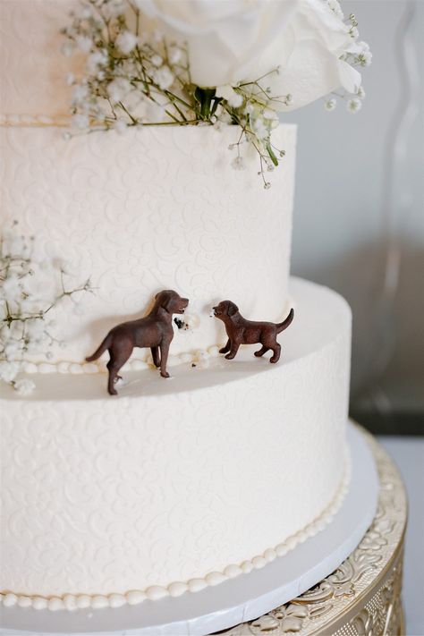 White wedding cake featuring dog toppers and cute bite out of cake detail. Photography by Leah Thomason Photography 2 Tier Wedding Cake With Dogs, Dog Ideas At Wedding, Puppy Wedding Cake, Dog Cake Wedding, Wedding Cake Dog Figurine, Unique Wedding Ideas With Dogs, Grooms Cake Dog, Dog Figurine Wedding Cake, Simple Wedding Cake With Dog