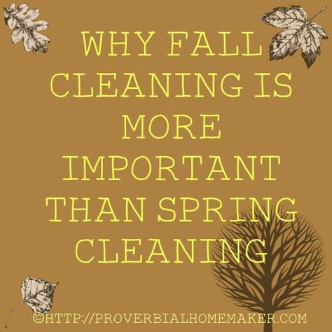 Fall Cleaning Quotes, Fall Cleaning And Organizing, Autumn Cleaning, Decluttering List, Fall Cleaning Checklist, Spring Organization, Fall Planning, Cleaning Checklists, Cleaning Routines