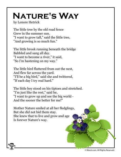 Summer Kids Poems Best English Poems, Nature Poems For Kids, English Recitation, Poem On Nature, First Grade Poems, What Is A Scientist, Botany Study, Poems For Students, Airplane Quotes