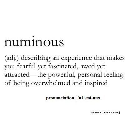 Fears Definitions, Fear Definition, Weird Words And Definitions Unique, Words With Obscure Meaning, Obscure Words And Definitions, Uncommon Words Definition, Scared To Love, Unique Words Definitions, Fancy Words