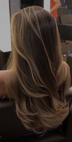 Light Caramel Hair With Highlights, Bleach On Brown Hair, Subtle Blonde Highlights In Brown Hair Straight, Layers For Hair Medium, Quarter Head Highlights Brown Hair, Dark Brown With Warm Highlights, Highlited Hair Brunettes, Highlits Hair Brunettes, Warm Honey Highlights Brunettes