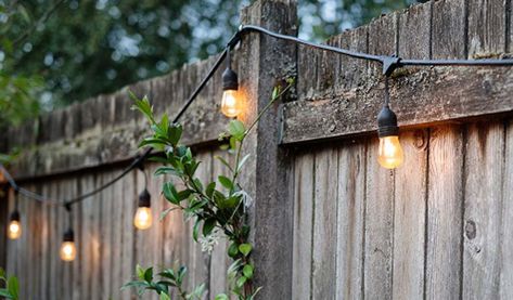 What are Festoon Lights?Why Choose Festoon Lights?Where to Place Festoon Lights?How to Hang Festoon LightsLight Bulb of ChoiceStandard Voltage vs Low VoltagePlan and MeasureQuick Buying TipsFestoon Lighting Buying Checklist   What are Festoon Lights? Festoon lights are closely related to the classic fairy string light. Fence Lighting Ideas, How To Make Fence, Oval Above Ground Pools, Types Of Lights, Round Above Ground Pool, Easy Fence, Viking Shop, Endless Pool, Festoon Lights