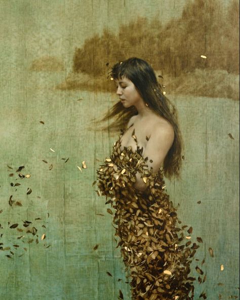 Brad Kunkle on Instagram: “‘Islands’ from my solo exhibition, The Gilded Wilderness, in 2012 @arcadiagallery • 31x51”, oil and gold leaf on linen. #gildedwilderness…” Nick Alm, Cesar Santos, Brad Kunkle, Surreal Photos, Pebble Art, American Artists, Figurative Art, Figure Painting, Natural World