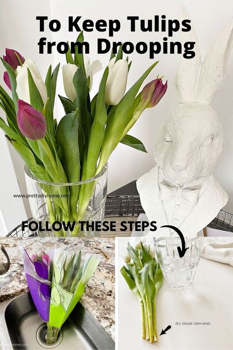 English Flower Garden, Tulip Centerpiece, Wedding Flowers Tulips, Fresh Tulips, Tulips Arrangement, Balloon Garland Diy, Short Vase, Signs Of Spring, Flowers For Sale