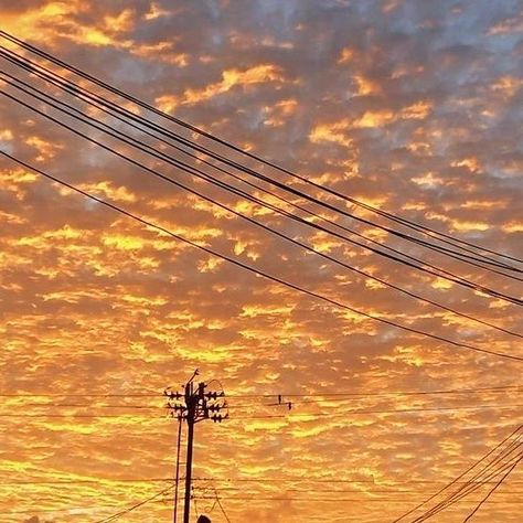 #goldenhour Golden Hour Clouds, Gold Sunset, Just My Type, Sunrise Pictures, Cap Cut, Yellow Sky, The Golden Years, Cute Pastel Wallpaper, My Type