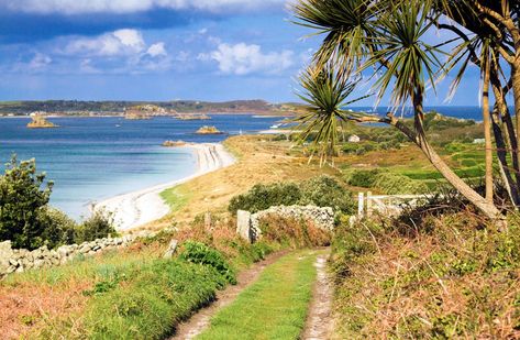 Britain's most peaceful places Farne Islands, Scilly Isles, Northumberland Coast, Uninhabited Island, Lake District National Park, Cornish Coast, Snowdonia National Park, North York Moors, Forest Trail