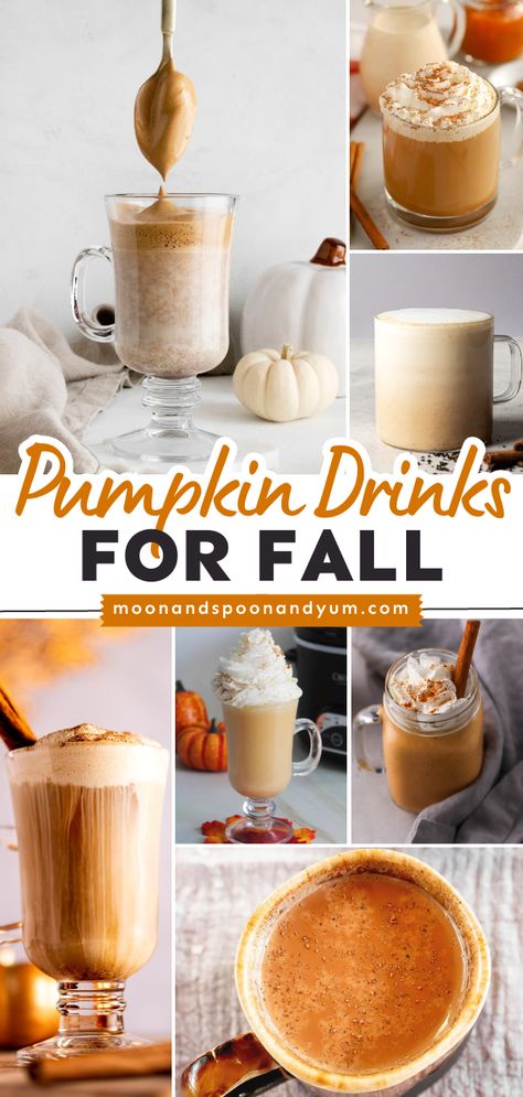 All the pumpkin drink recipes for fall! No matter what you're in the mood for, there's a perfect fall beverage right here. Enjoy this roundup of coffees, teas, hot chocolates, smoothies, and other pumpkin drinks! Thanksgiving Hot Drinks, Drinks For Fall, Pumpkin Drink Recipes, Fall Everything, Warm Drinks Recipes, Pumpkin Drink, Gluten Free Family Meals, Bomb Drinks, Pumpkin Drinks