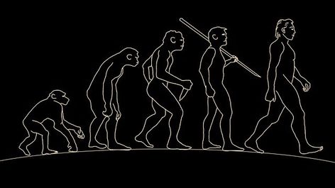 Free Image on Pixabay - Man, Human, Evolution, Body Evolution Tattoo, Evolution Art, Types Of Humans, African Ancestry, Theory Of Evolution, Human Evolution, Cap Designs, Human Species, First Humans