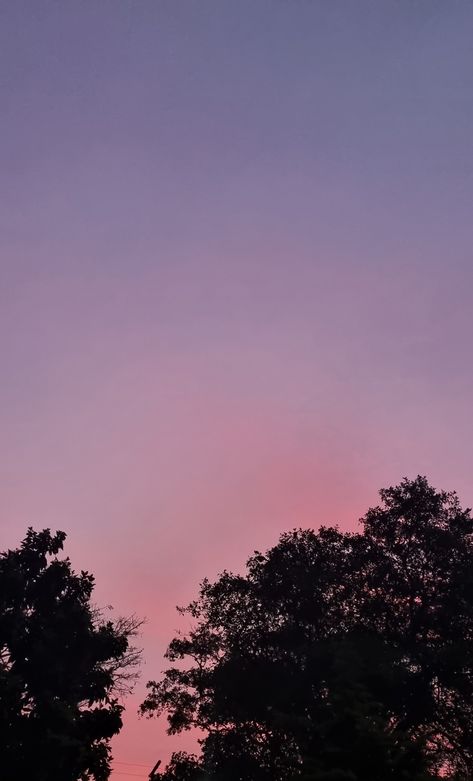 pink sky Light Pink Sky Aesthetic, Pink Hour, Colouring Ideas, Pink Skies, Chasing Sunsets, Twilight Sky, Black App, Light Blue Aesthetic, Evening Sky