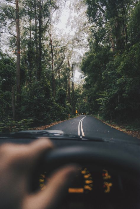 Country Roads Photoshoot, Living On The Road Aesthetic, Roadtrip Aesthetic Car, Pnw Fall, Road Aesthetic, Car Trip, Living On The Road, Feeling Pictures, Summer Road Trip