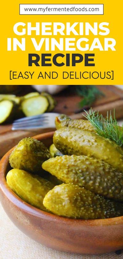 Gherkins are a vegetables used mainly as salads or pickles. They are a distant cousin of the cucumber. Gherkins are pickled frequently as they are smaller and many people prefer the smaller size for their pickles. Let us take a look at gherkins, their benefits, and some ways to preserve them as pickles. .#MyFermentedFoods #FermentedVeggie #Vinegar #Fermentation #Fermenting #FermentedFoods #Gherkins #Pickling #Pickles #canning #foodpreservation #preserving #homecanning #canningrecipes #recipe Pickling Pickles, Pickles Canning, Fermented Foods Benefits, Dehydrated Food, Garden Recipes, Pickling Recipes, Tempeh, Fermented Foods, Healthy Gut