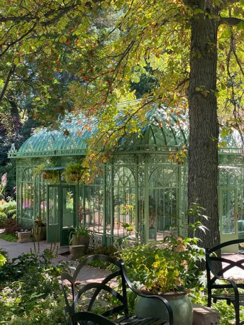 Wedding Green House, The Secret Garden Aesthetic, Green House Aesthetic, Aesthetic Greenhouse, Green House Wedding, Greenhouse Venue, Conservatory Wedding, Greenhouse Wedding, Green House