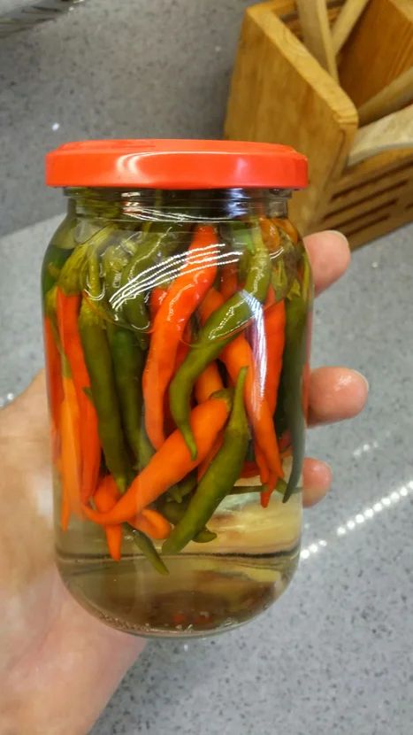 Preserving Thai Chili Peppers, How To Preserve Thai Chili Peppers, Pickled Chillies How To Make, Thai Chilli Pepper Recipes, Pickled Green Chillies Recipe, Pickled Thai Chili Peppers, Pickled Chillies Recipe, Pickling Vinegar Recipe, Preserve Chillies