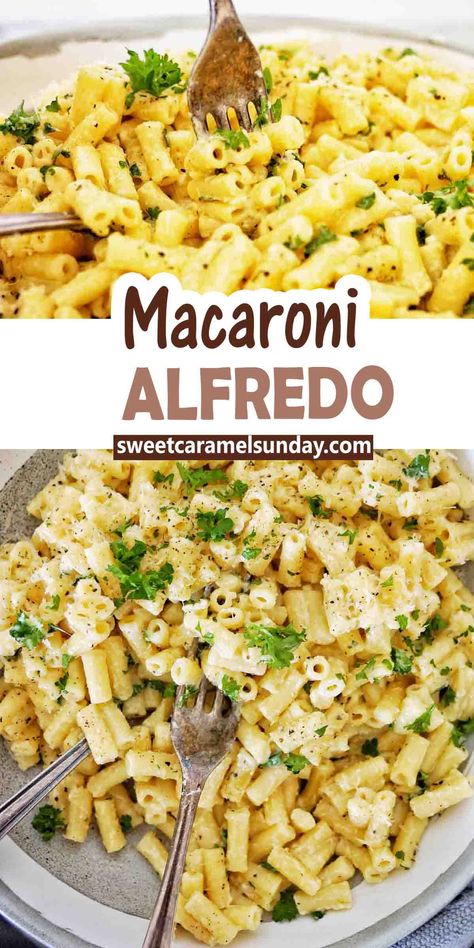 Fork being pushed into macaroni alfredo in a grey bowl. Text is written between 2 images. Turkey Alfredo Pasta, Macaroni Alfredo, Turkey Alfredo, Creamy Cheesy Pasta, Alfredo Recipes, Cheesy Pasta Recipes, Hearty Food, Macaroni N Cheese Recipe, Cheesy Pasta