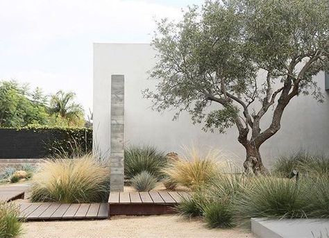 Olive Trees Landscape, Xeriscape Front Yard, Garden Obelisk, Front Yard Design, California Garden, Dry Garden, Have Inspiration, Contemporary Garden, Mediterranean Garden