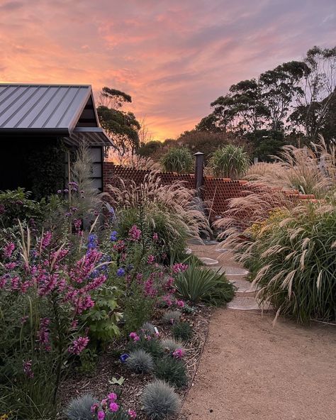 Jo Ferguson on Instagram: “We must all get behind @globalgardensofpeace a project lead by Moira Kelly and Andrew Laidlaw.” Lush Vegetable Garden, Muhly Grass Landscaping Garden Design, Missouri Native Plant Garden Design, Gooseneck Loosestrife Garden, Molinia Edith Dudszus, Naturalistic Garden, Gardening Trends, Outdoor Gardens Design, Landscaping Tips