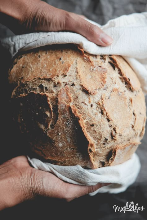 Whole Wheat Artisan Bread Dutch Oven, Whole Wheat Artisan Bread, Bread Wheat, Whole Wheat Bread Recipe, Healthy Breads, Einkorn Recipes, Bread Winners, Oven Bread, 2023 Recipes