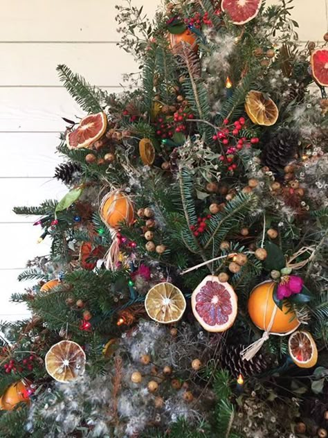 A Florida Christmas tree with dried citrus. Orange Christmas Tree, Natal Natural, Pagan Christmas, Fruit Christmas Tree, Floral Christmas Tree, Cottagecore Christmas, Christmas Tree Inspo, Aussie Christmas, Florida Christmas