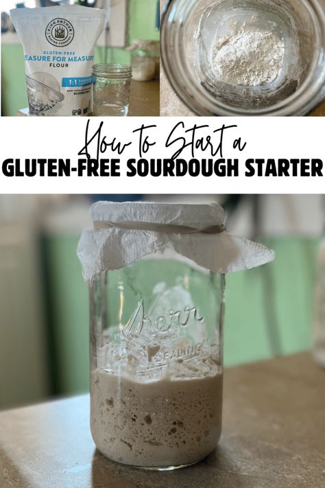 How to Make a Gluten-Free Sourdough Starter - The Rural Homesteader Gluten Free Sourdough Starter Recipe, Gluten Free Sourdough Discard Recipes, Gluten Free Sourdough Discard, Gluten Free Starter, Gluten Free Sourdough Bread Recipe, Dough Starter Recipe, Sourdough Starters, Gluten Free Sourdough Starter, Gluten Free Sourdough Bread