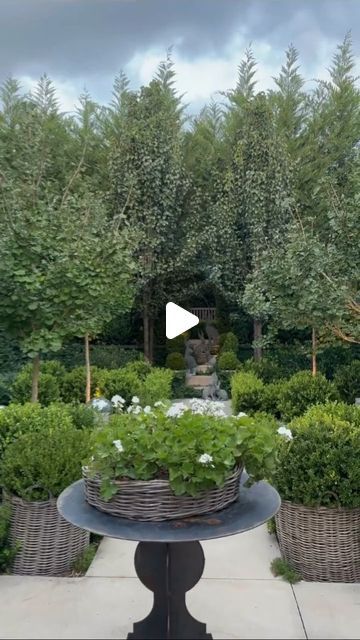 H E D G E L O V E R _ 💚💚 on Instagram: "The stunning home of @harolds_finishing_touches 💚💚 . . . . . . . . . . . . #hedgelover_ #topiarylover_ #gardendesign #topiary #buxussempervirens #art #smallgardendesign #buxus #boxwood #gardens" Harolds Finishing Touches, Boxwood Landscaping, Buxus Sempervirens, Boxwood Balls, Boxwood Garden, Boxwood Topiary, Small Garden Design, Hedges, Landscape Design