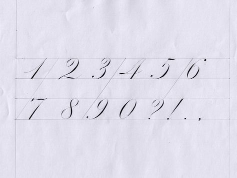 Copperplate Numbers, Calligraphy Numbers Fonts, Calligraphy Numbers, Numbers Calligraphy, Number Calligraphy, Brush Lettering Font, Penmanship Handwriting, Number Font, Calligraphy Letters Alphabet