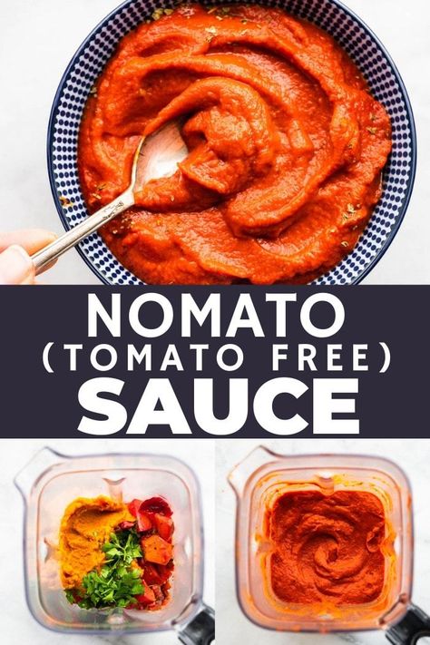 Dairy Free Tomato Free Recipes, Dairy And Tomato Free Pasta Sauce, Tomato Free Sauce, Dairy And Tomato Free Recipes, Nightshade Free Pasta Sauce, Tomato Free Salsa, Healthy Tomato Sauce, Nomato Sauce, Acid Reflux Friendly Recipes