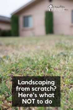 How To Start Landscaping Backyard, Landscaping Shaded Front Yard, How To Do Landscaping, How To Start Landscaping Front Yard, Front Steps Landscaping Ideas, New Build Backyard Landscaping Ideas, Front Door Garden Ideas Landscaping, Rural Landscaping Ideas, Zone 7 Landscaping Front Yards