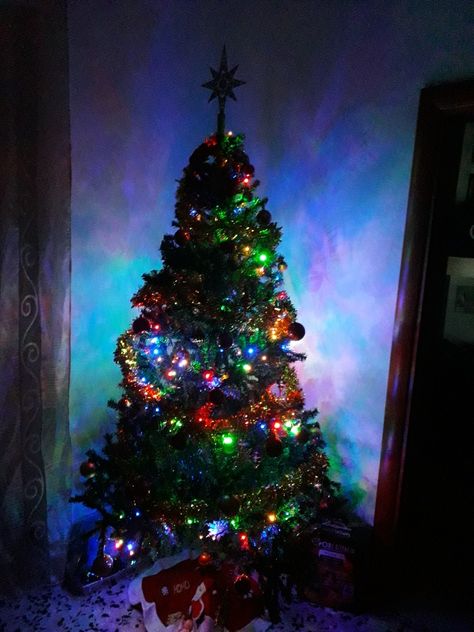 Christmas tree, Nardò Indian Christmas Tree, Christmas Tree Snap, Tree Snap, Indian Christmas, Christmas Tree Pictures, With Christmas Tree, Creative Profile Picture, Indian Home, Kerala