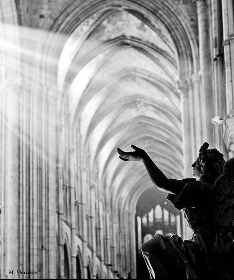 https://flic.kr/p/PZ3eFS | Mathieu Meunier ,Toching the Divine Photographie Natural light in the Cathedral of Lisieux France The Cathedral, Sacred Places, Gothic Architecture, Jolie Photo, Black White Photos, Black And White Pictures, White Photo, Black And White Photographs, The Divine