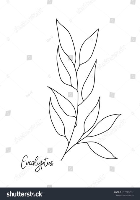 Eucalyptus Leaves Drawing, How To Draw Eucalyptus Leaves, Eucalyptus Line Art, Eucalyptus Line Drawing, Eucalyptus Drawing, Leaf Line Drawing, Zoomerang Vbs, Edible Wreath, Lemon Tattoo