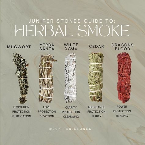 Juniper Sage Benefits, How To Use Mugwort, Mugwort Smudge Sticks, Burning Mugwort Benefits, Yerba Santa Smudge Benefits, Dragonsblood Sage, Mugwort Benefits, Mugwort Essential Oil, Plant Remedies