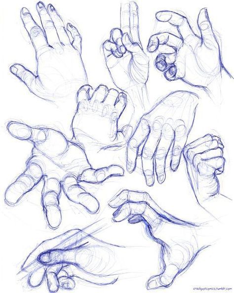 Comic Book Hands, Human Sketching, Hand Studies, Human Anatomy Drawing, Hand Drawing Reference, Human Anatomy Art, Lupin Iii, Anatomy Sketches, Body Reference Drawing